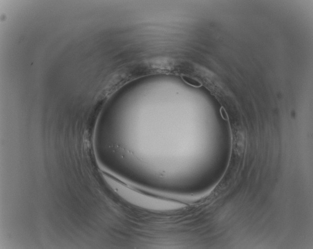 X0000074320707200609082007