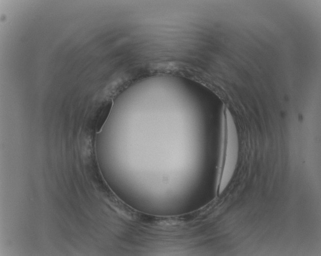 X0000074320708200609082007