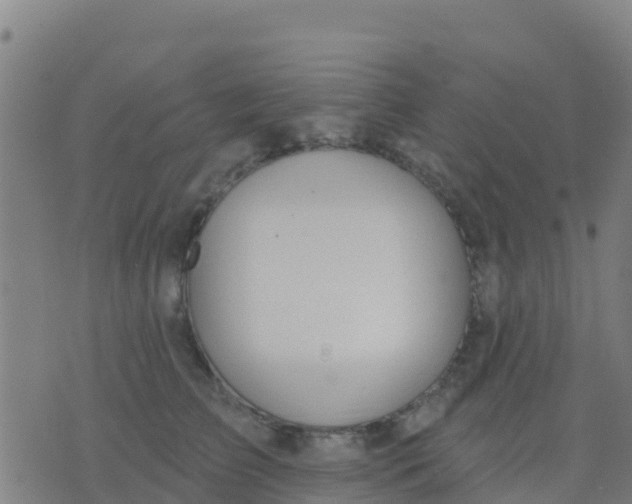 X0000074320709200609082007