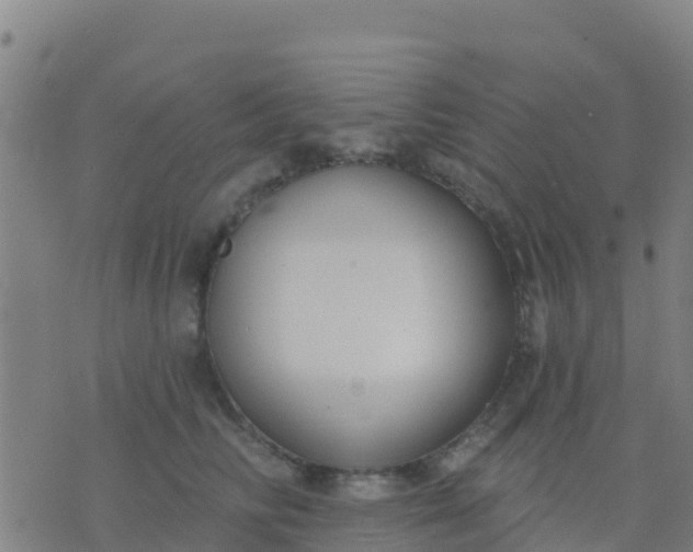 X0000074320710200609082007