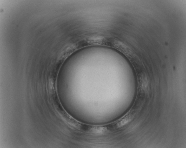 X0000074320711200609082007