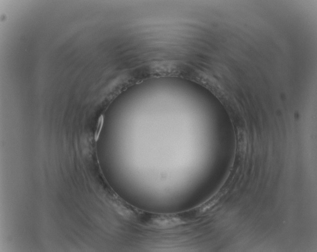 X0000074320712200609082007