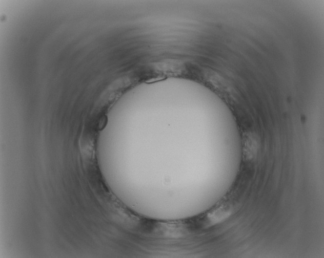 X0000074320713200609082007