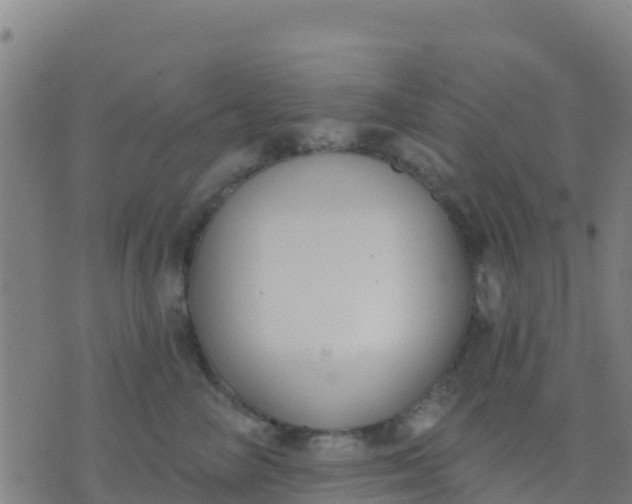 X0000074320714200609082007