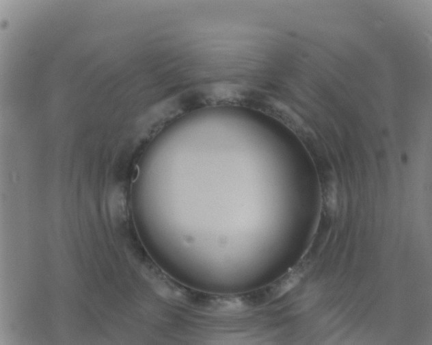 X0000074320715200609082007