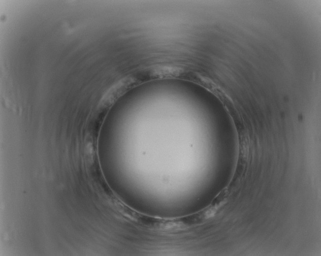 X0000074320716200609082007