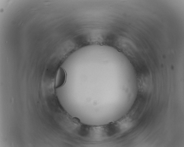 X0000074320717200609082007