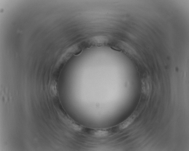 X0000074320718200609082007