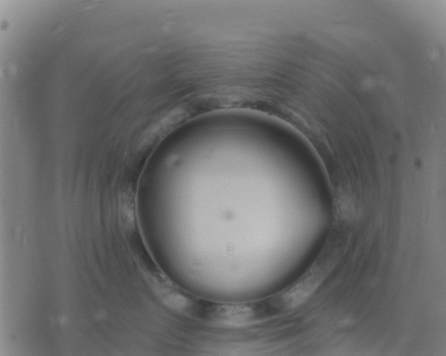 X0000074320719200609082007