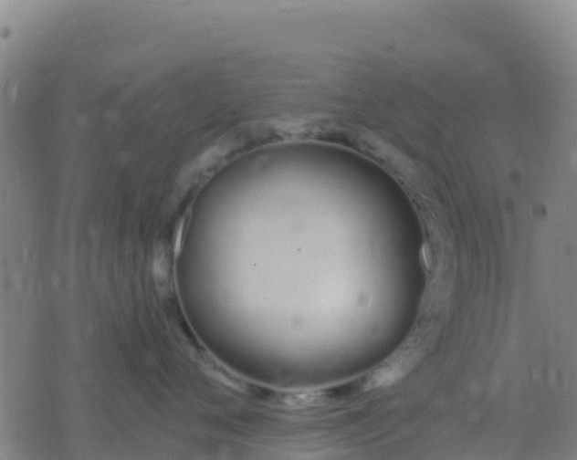 X0000074320720200609082007