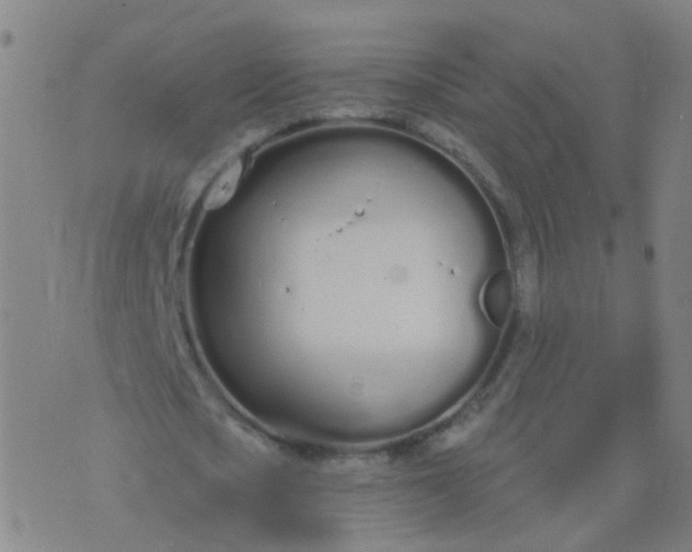 X0000074320721200609082006