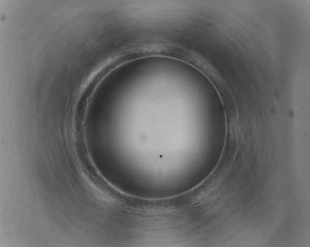 X0000074320722200609082006