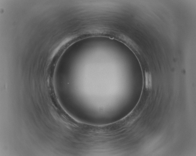 X0000074320723200609082006