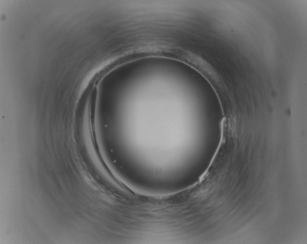 X0000074320724200609082006