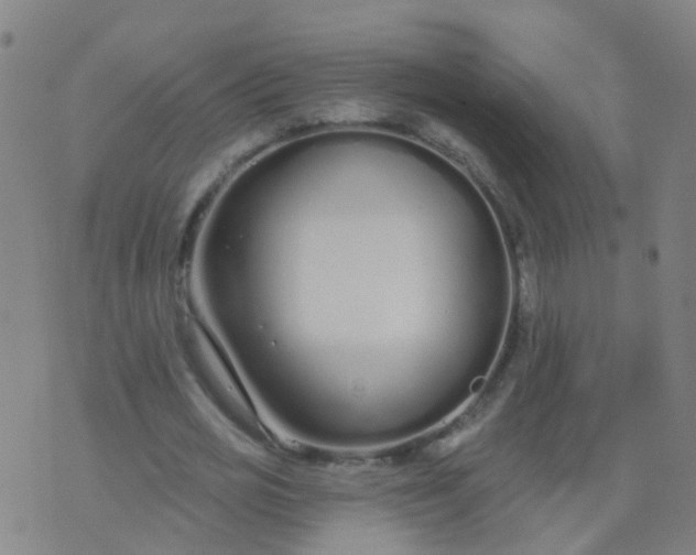 X0000074320725200609082006