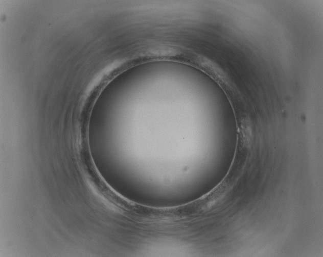 X0000074320726200609082006