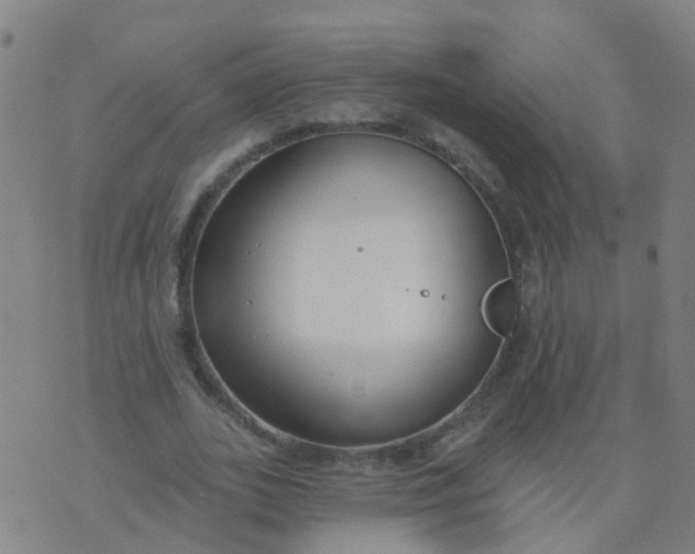 X0000074320727200609082006