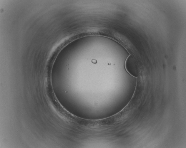 X0000074320728200609082006