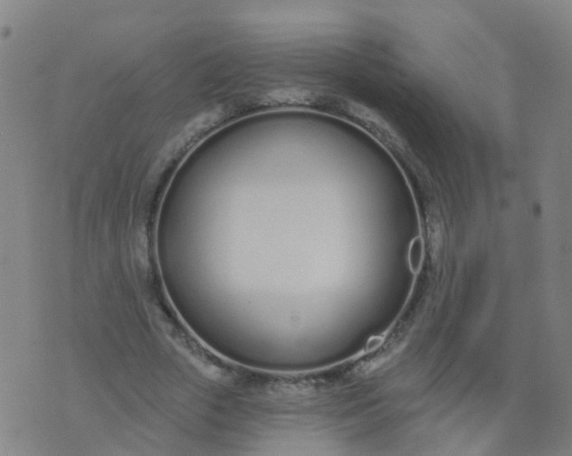 X0000074320729200609082006