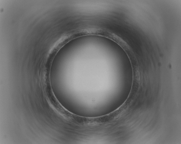 X0000074320730200609082006