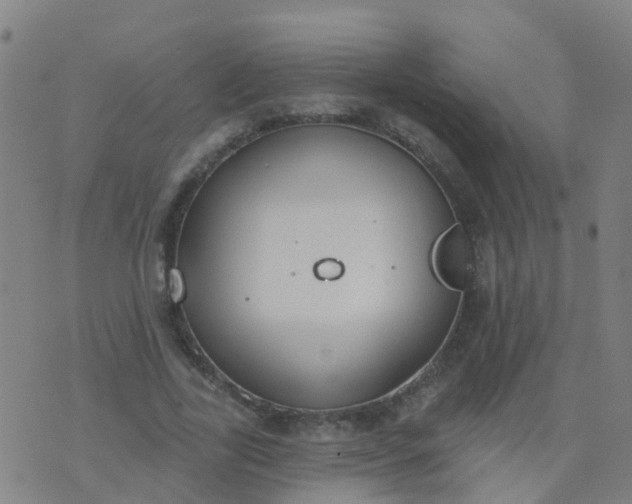 X0000074320731200609082006