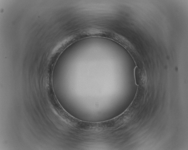 X0000074320732200609082006