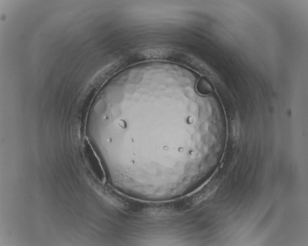 X0000074320733200609082006