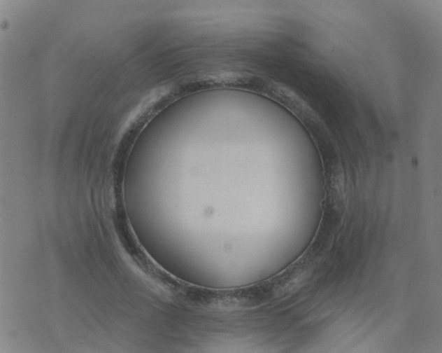 X0000074320734200609082006