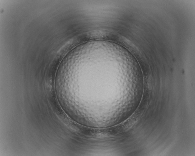 X0000074320737200609082006