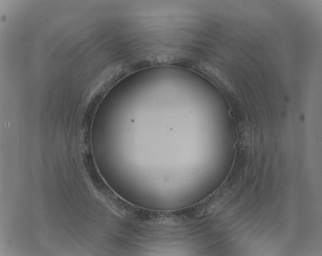 X0000074320738200609082006