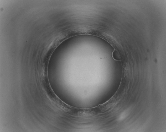 X0000074320739200609082006