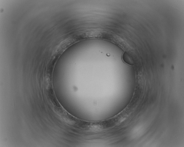 X0000074320741200609082006