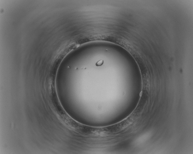 X0000074320742200609082006