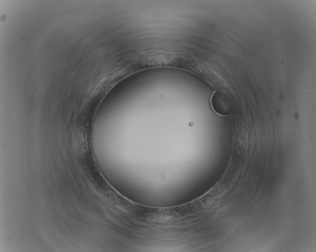 X0000074320743200609082006