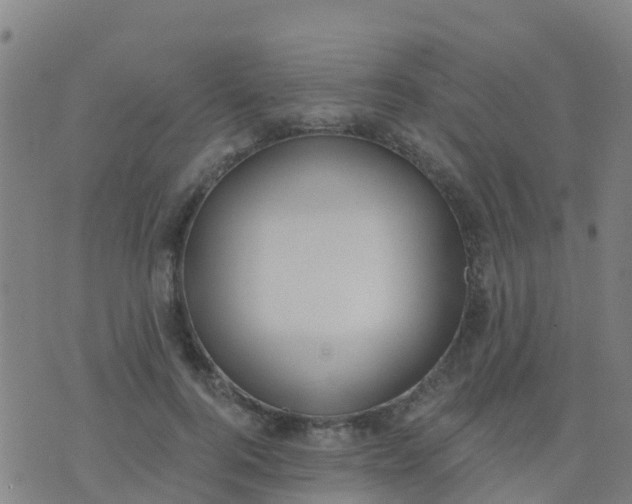 X0000074320744200609082006