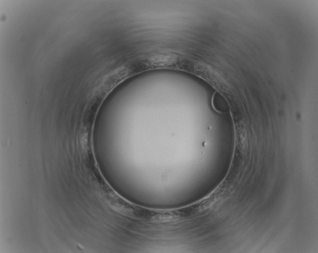 X0000074320745200609082006