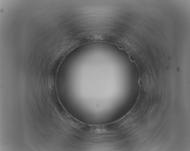 X0000074320747200609082006