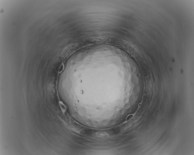 X0000074320749200609082007