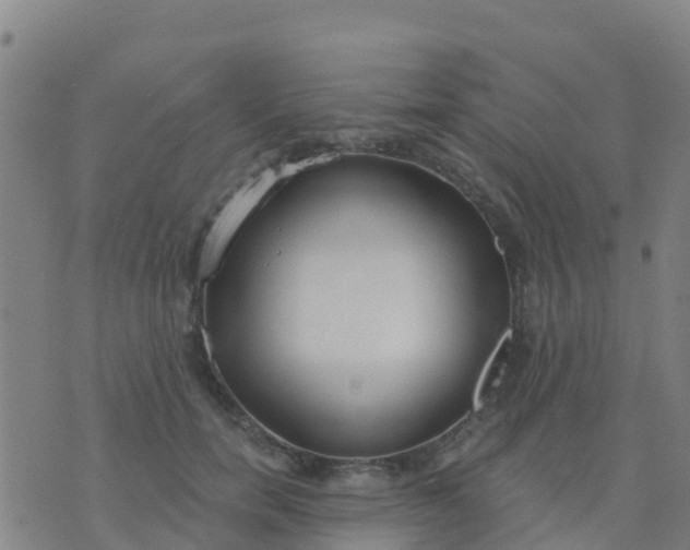 X0000074320750200609082007