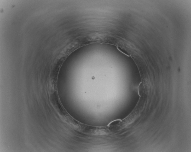 X0000074320751200609082007