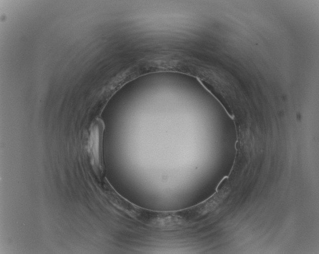 X0000074320752200609082007