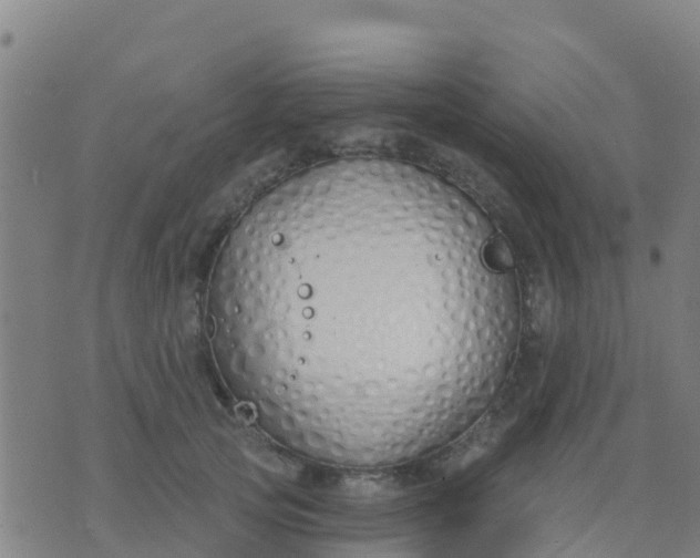 X0000074320753200609082007