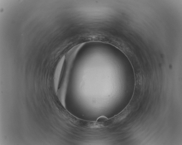 X0000074320754200609082007