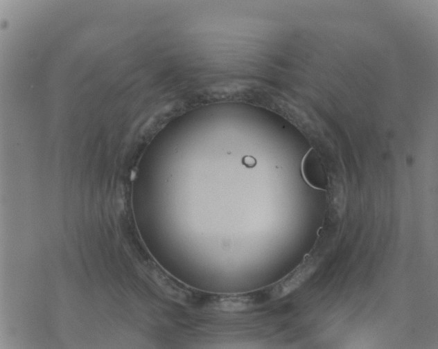 X0000074320758200609082007