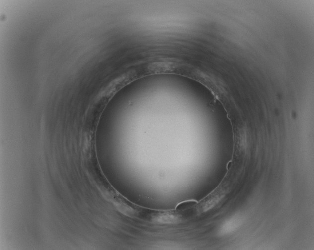 X0000074320759200609082007