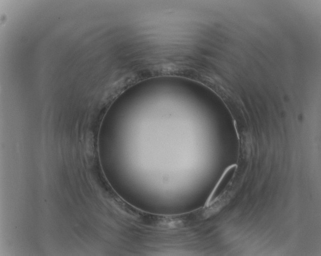 X0000074320760200609082007