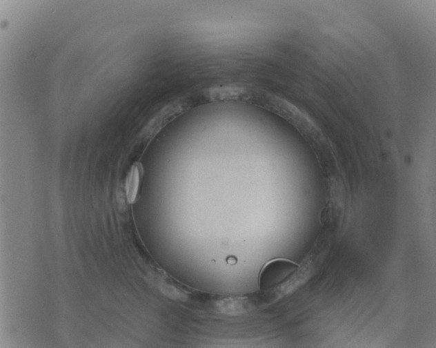 X0000074320761200609082007