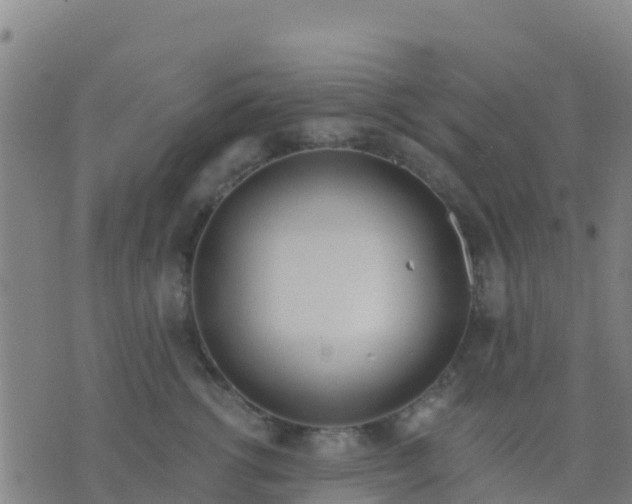 X0000074320762200609082007