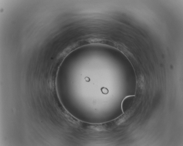 X0000074320763200609082007