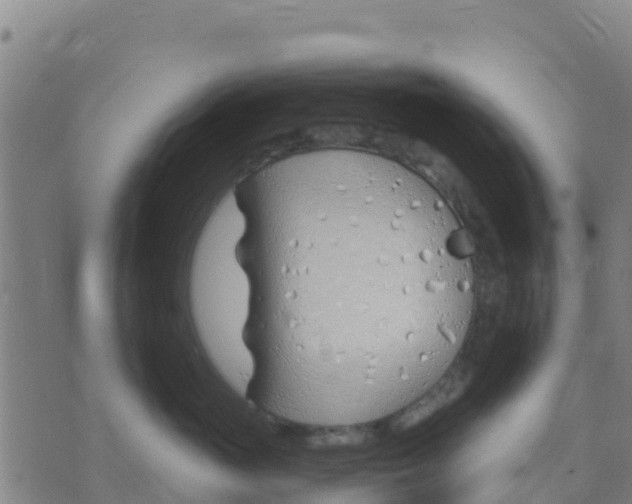 X0000074320765200609082007